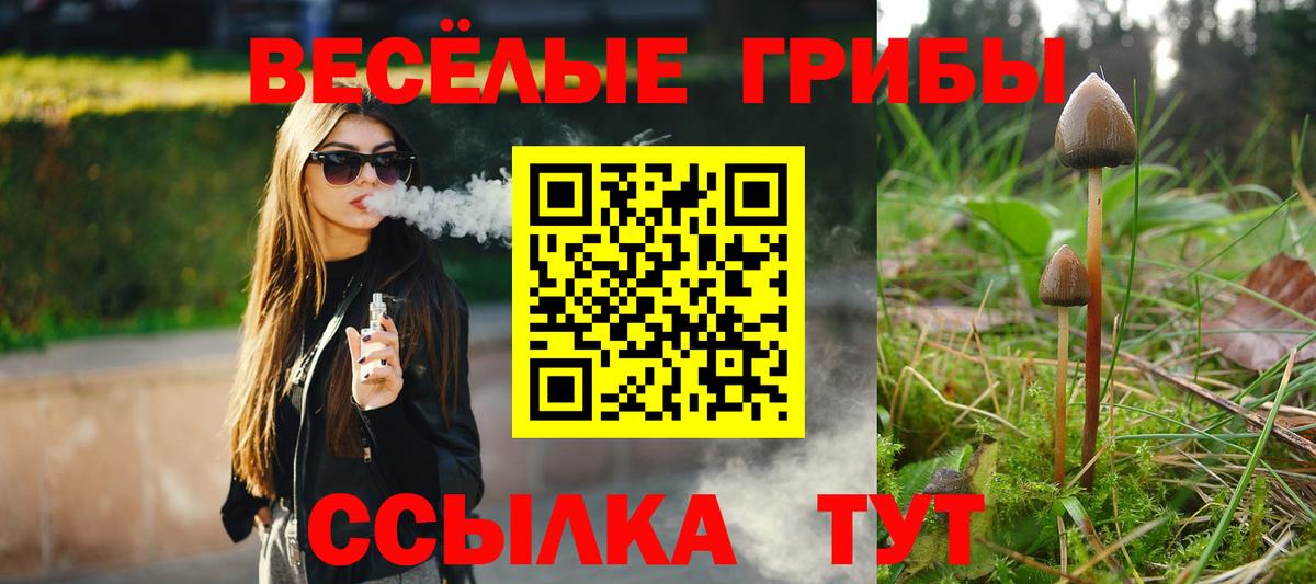 Галлюциногенные грибы Psilocybine cubensis Ульяновск