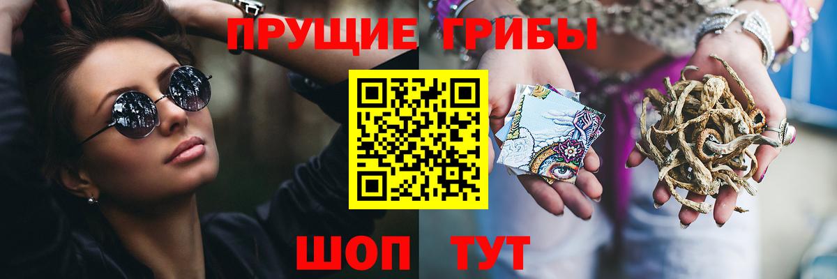 Ульяновск  Псилоцибиновые грибы ЛСД  дарнет шоп  Вход с VPN 